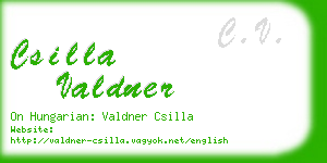 csilla valdner business card